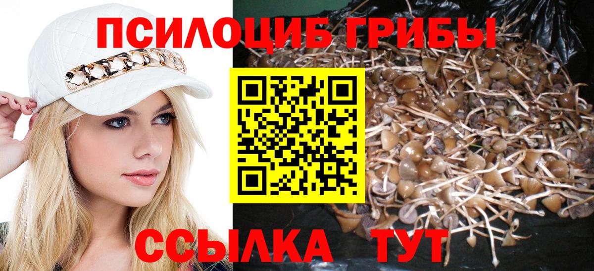 Галлюциногенные грибы Psilocybe Рузаевка