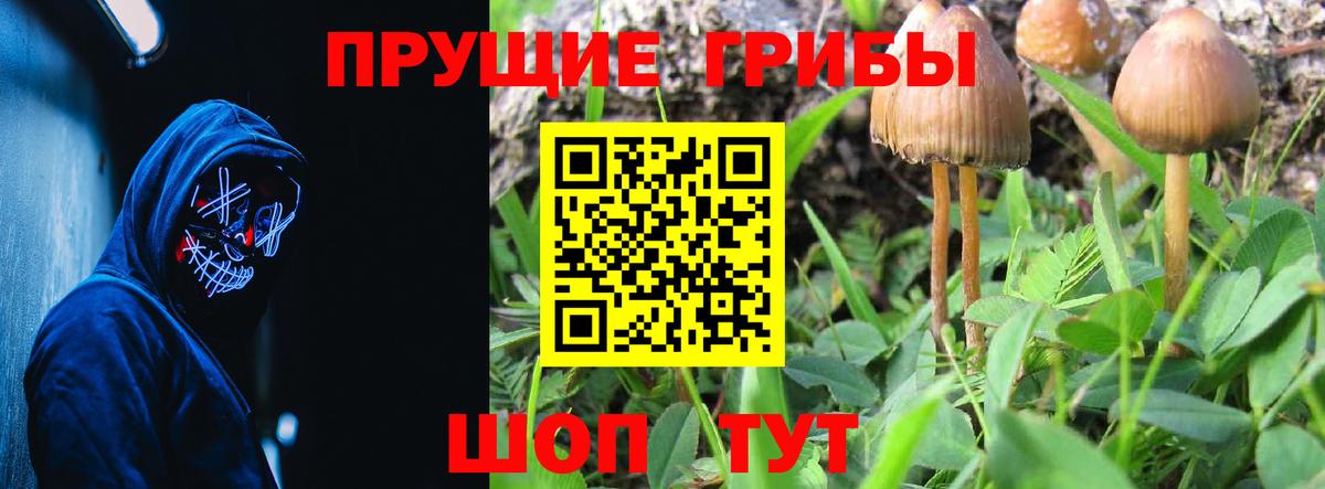 Рузаевка  Галлюциногенные грибы MAGIC MUSHROOMS  как найти   Вход с VPN 